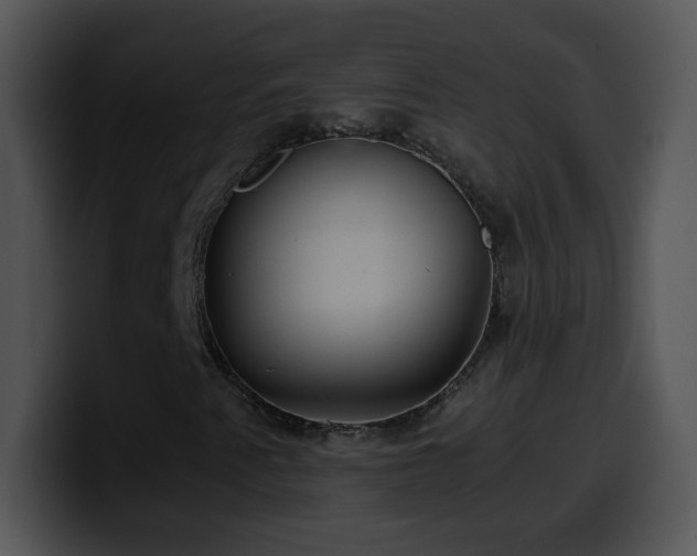 X0000100401345200806061307