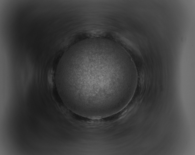 X0000100401346200806061307