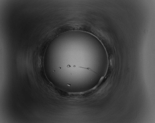 X0000100401347200806061307