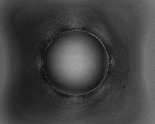 X0000100401348200806061307