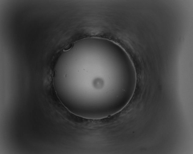 X0000100401349200806061307