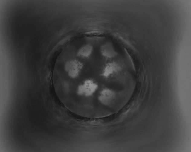 X0000100401351200806061307