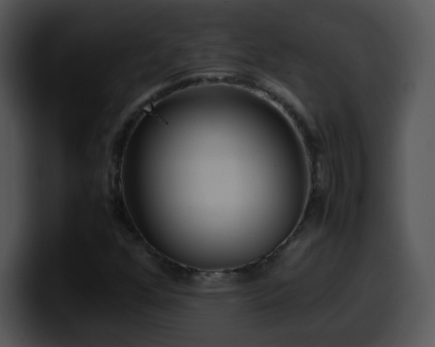 X0000100401352200806061307