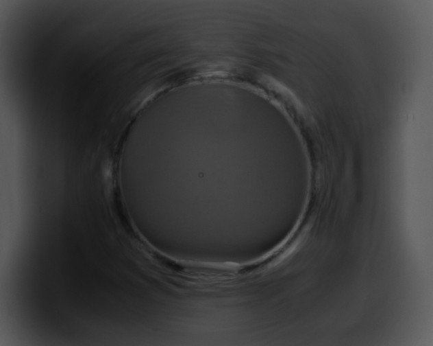 X0000100401353200806061307