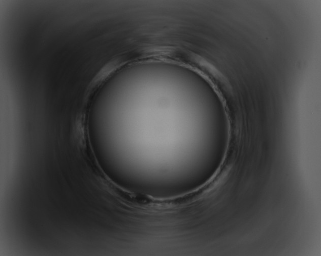 X0000100401354200806061307