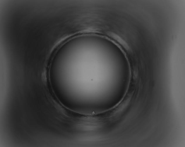 X0000100401356200806061307