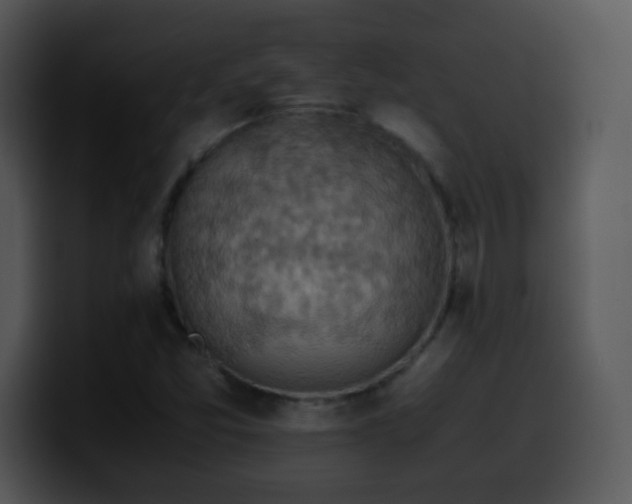 X0000100401357200806061307