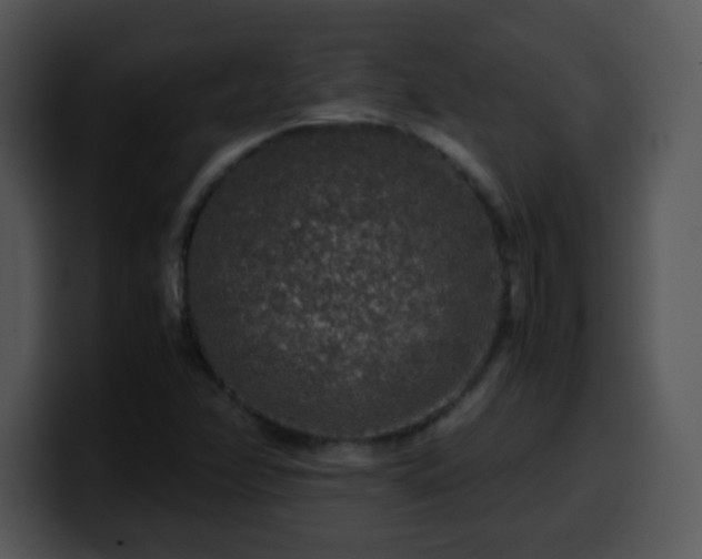 X0000100401358200806061307