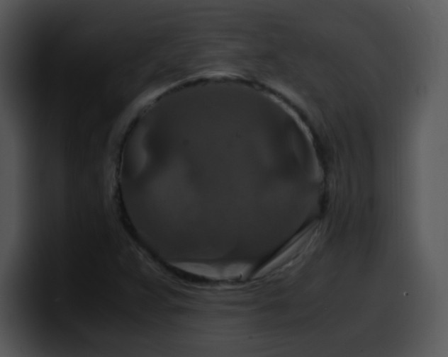 X0000100401359200806061307