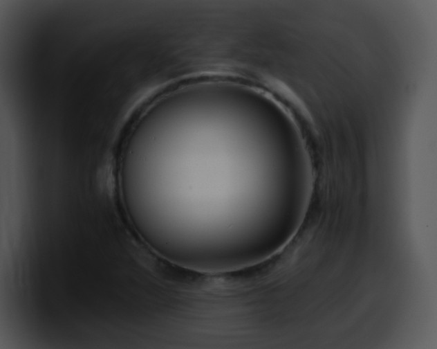 X0000100401360200806061307