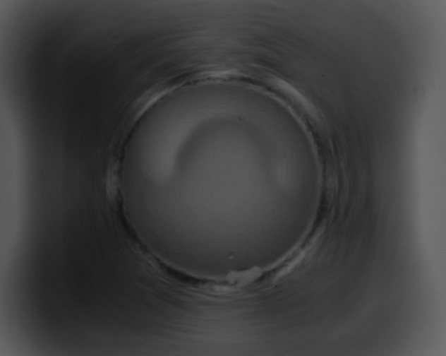 X0000100401361200806061307