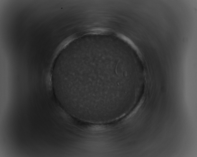 X0000100401362200806061307