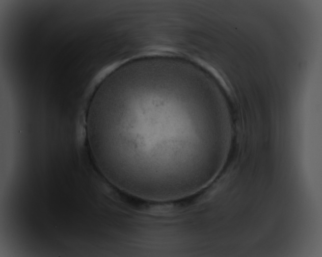 X0000100401363200806061307