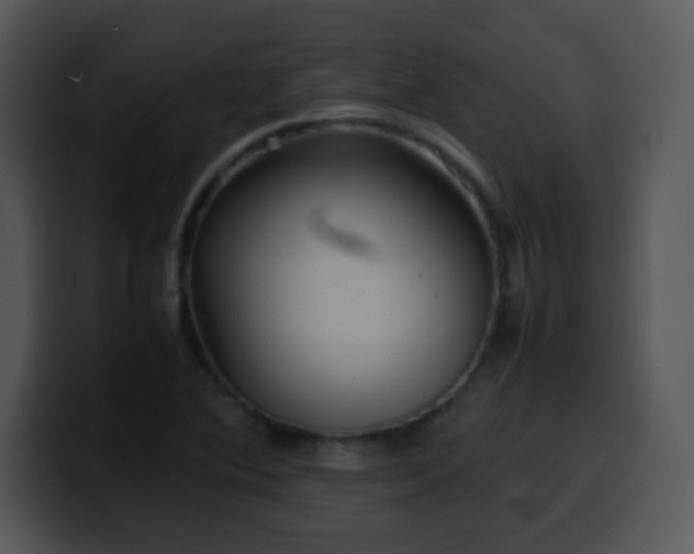 X0000100401364200806061307
