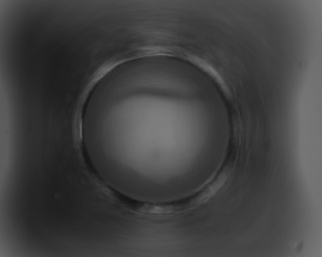 X0000100401365200806061307
