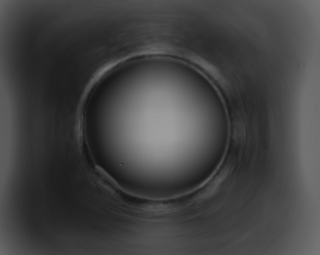 X0000100401366200806061307