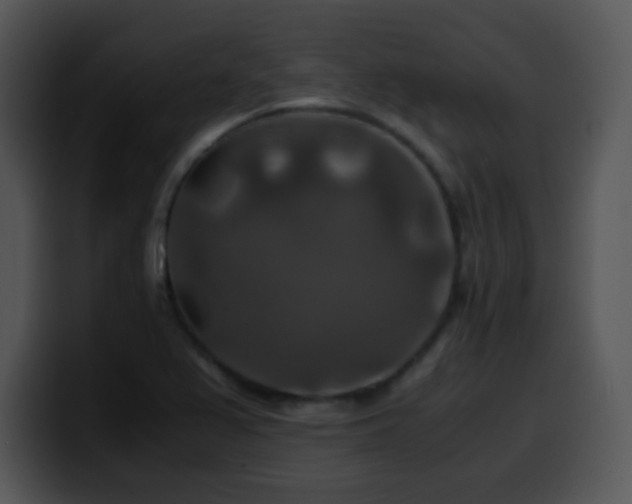 X0000100401367200806061307
