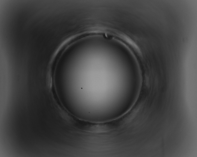 X0000100401368200806061307