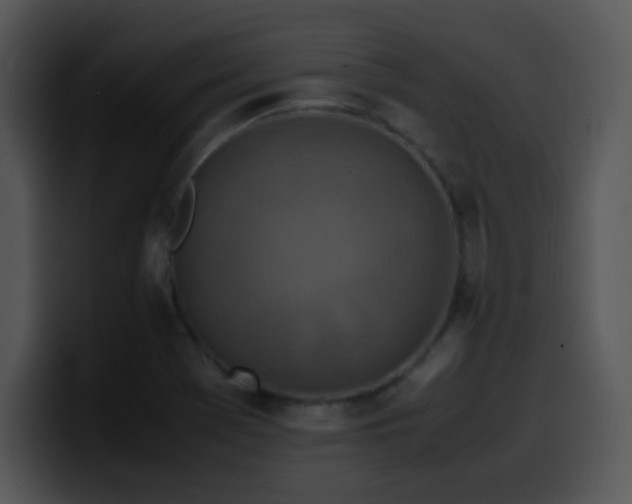 X0000100401369200806061307
