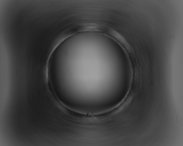 X0000100401370200806061307