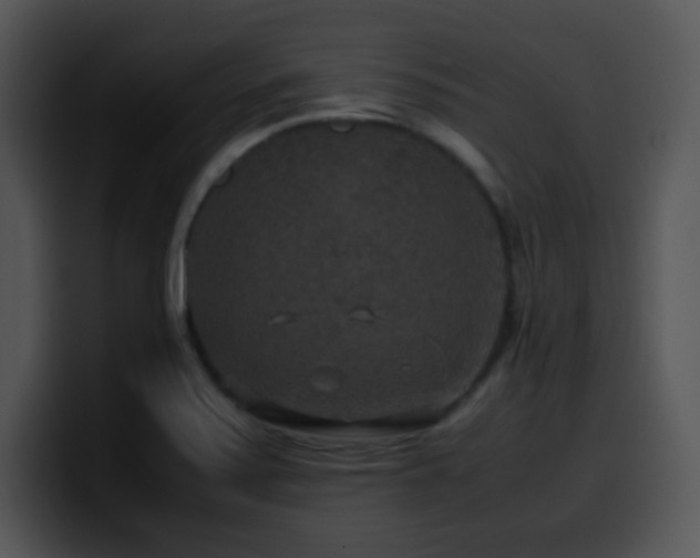 X0000100401371200806061307
