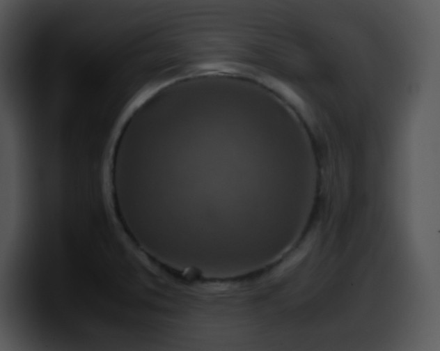 X0000100401373200806061307
