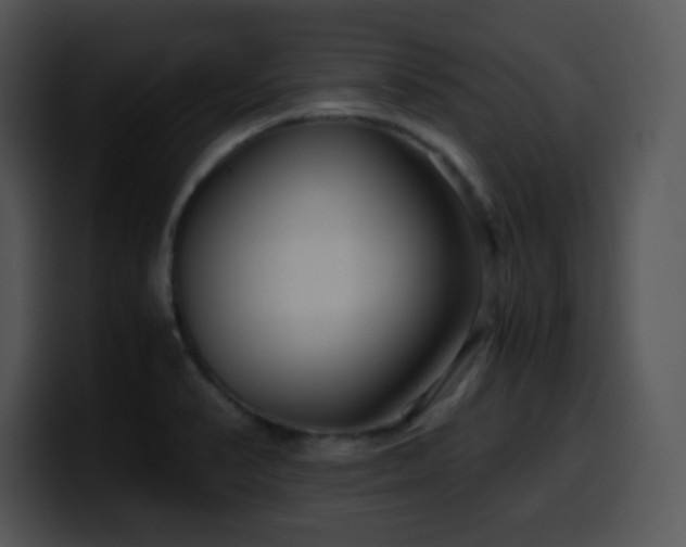 X0000100401374200806061307
