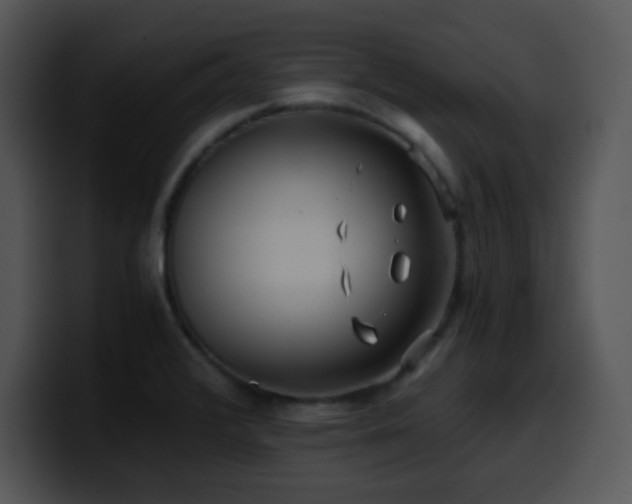 X0000100401376200806061307