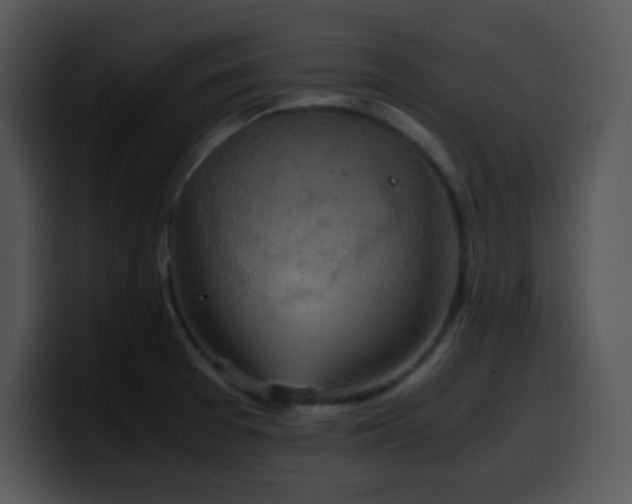 X0000100401377200806061307