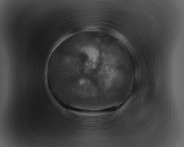 X0000100401378200806061307