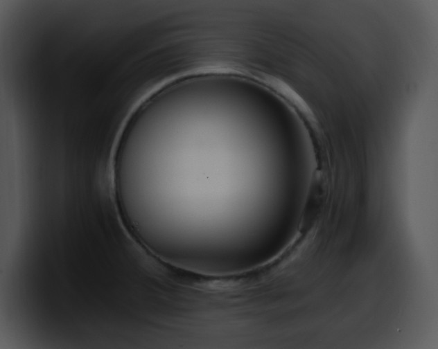 X0000100401380200806061307
