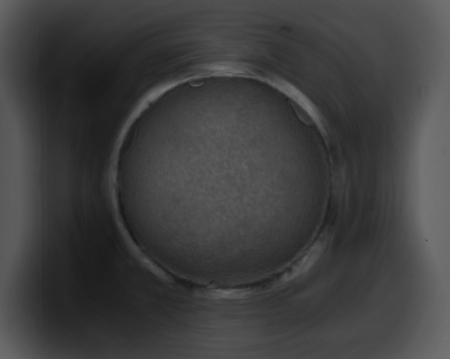 X0000100401381200806061307
