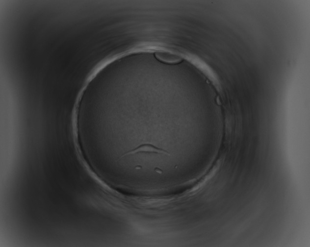 X0000100401382200806061306