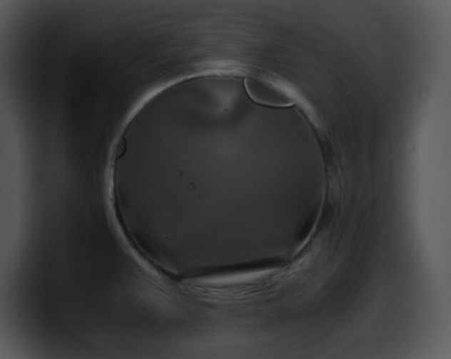 X0000100401383200806061306