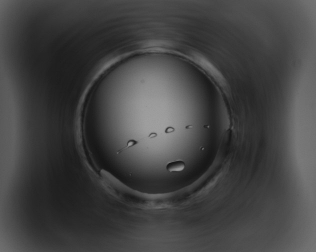 X0000100401384200806061306