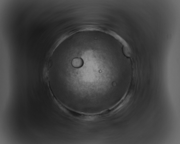 X0000100401385200806061306