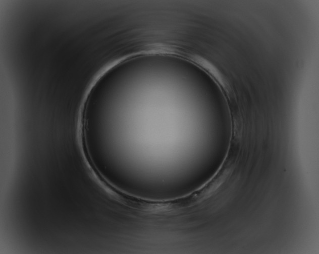 X0000100401387200806061306