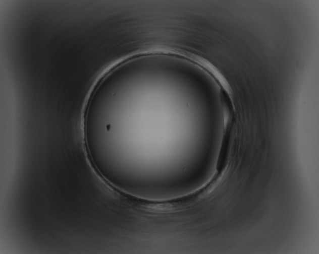 X0000100401388200806061306