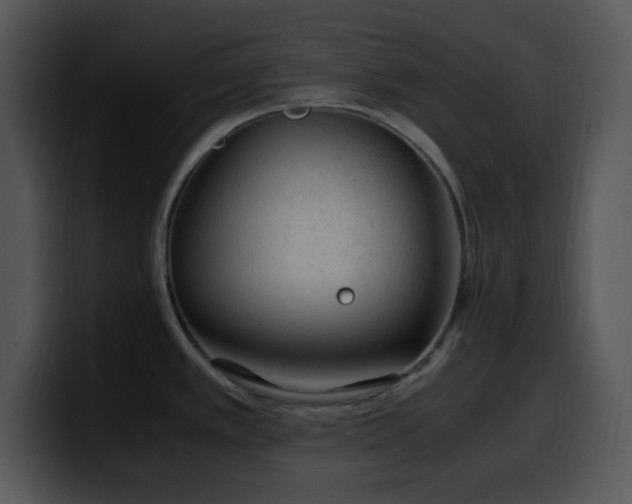 X0000100401389200806061306