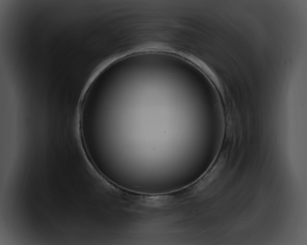 X0000100401390200806061306