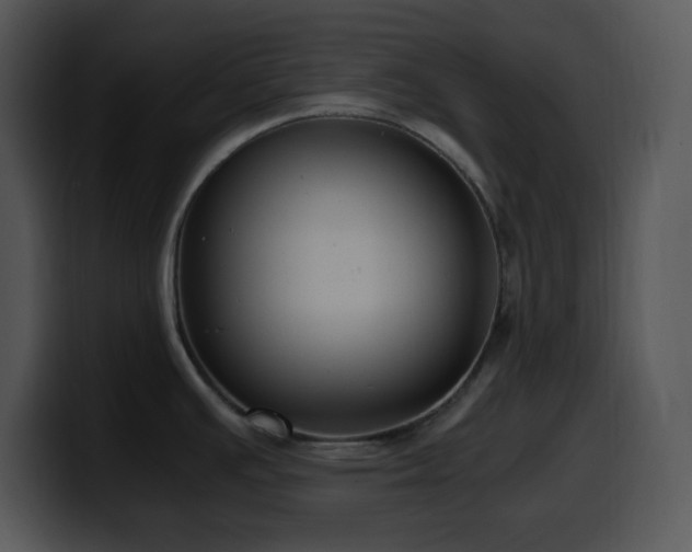 X0000100401391200806061306