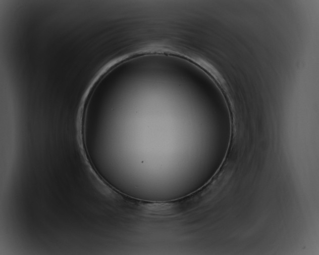 X0000100401392200806061306