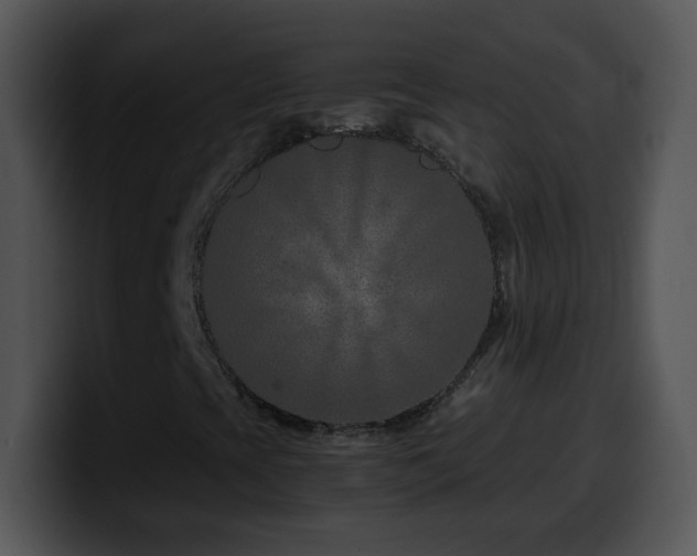 X0000100401393200806061306
