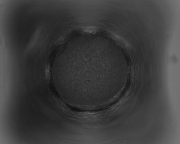 X0000100401394200806061306