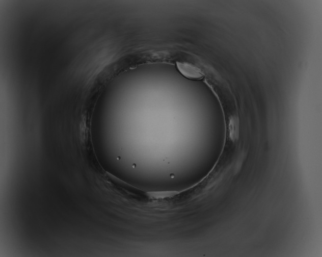 X0000100401395200806061306