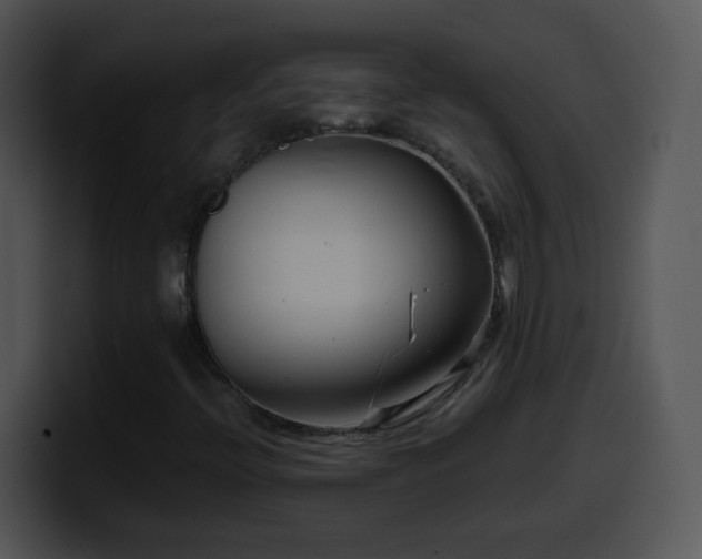 X0000100401396200806061306