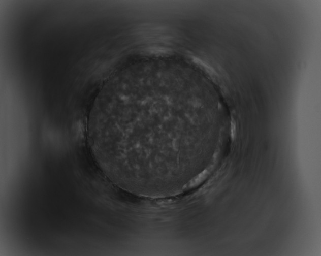 X0000100401397200806061306