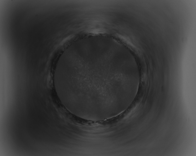 X0000100401398200806061306