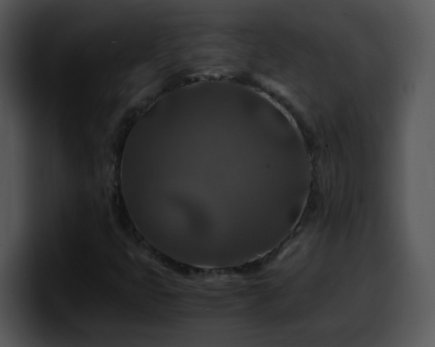 X0000100401399200806061306