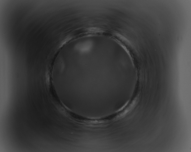 X0000100401401200806061306